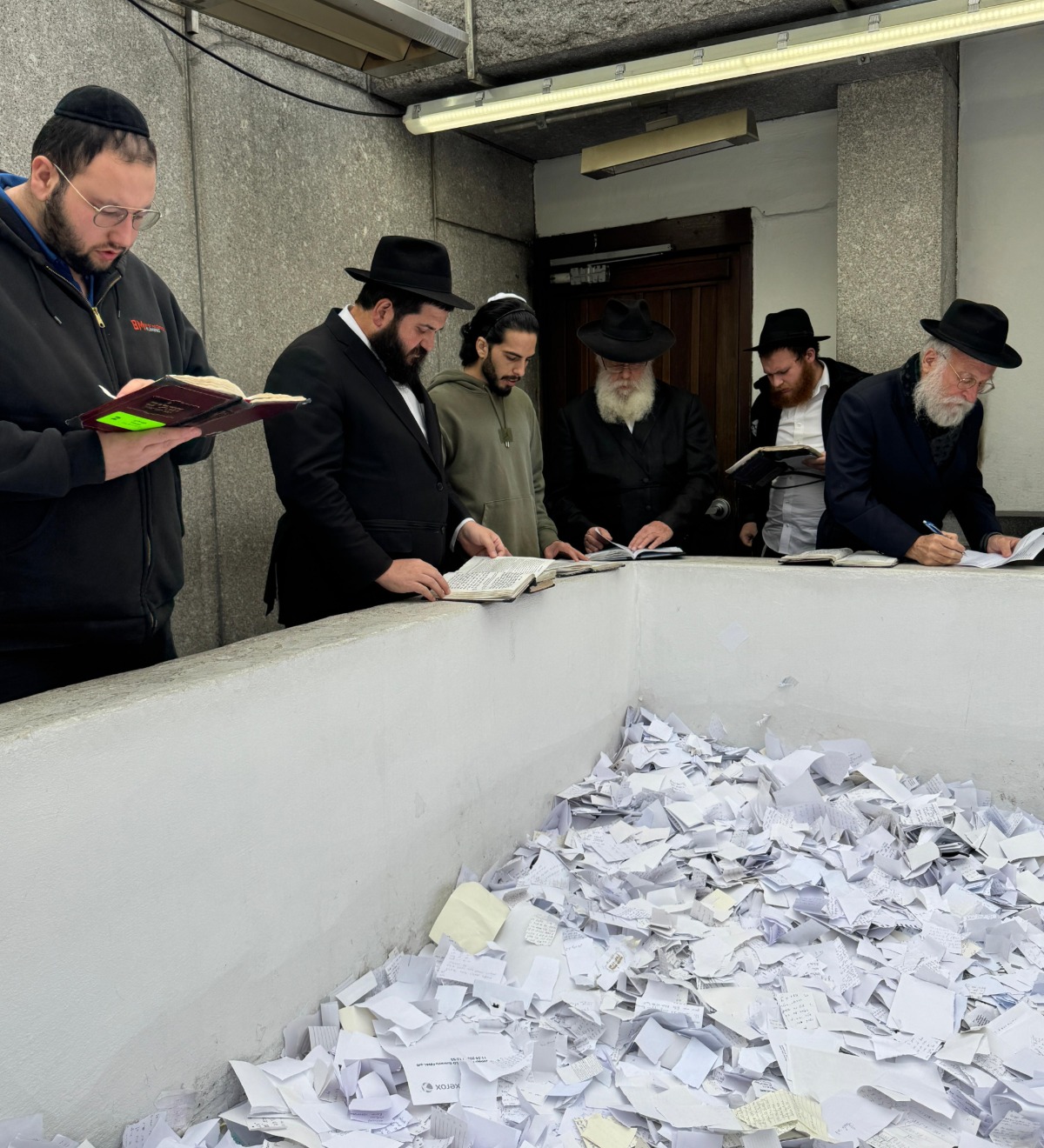 מתן צנגאוקר | 