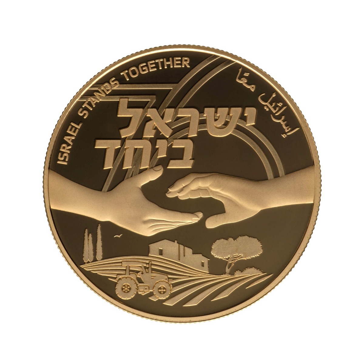 במחיר של אלפי שקלים למטבע של 10 שקלים מוזהב: בנק ישראל הנפיק מטבעות ...