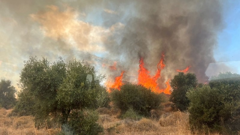 תיעוד מהשריפות בצפון