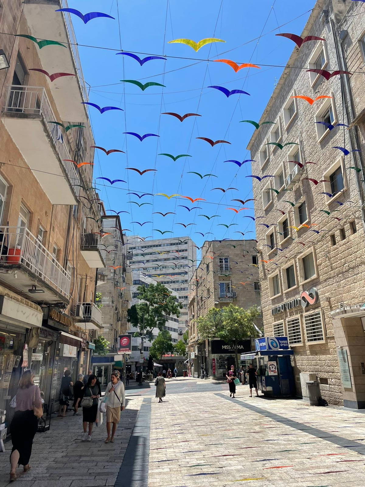 רחוב הציפורים ירושלים