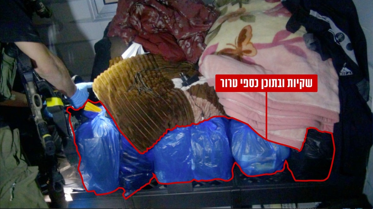 הממצאים