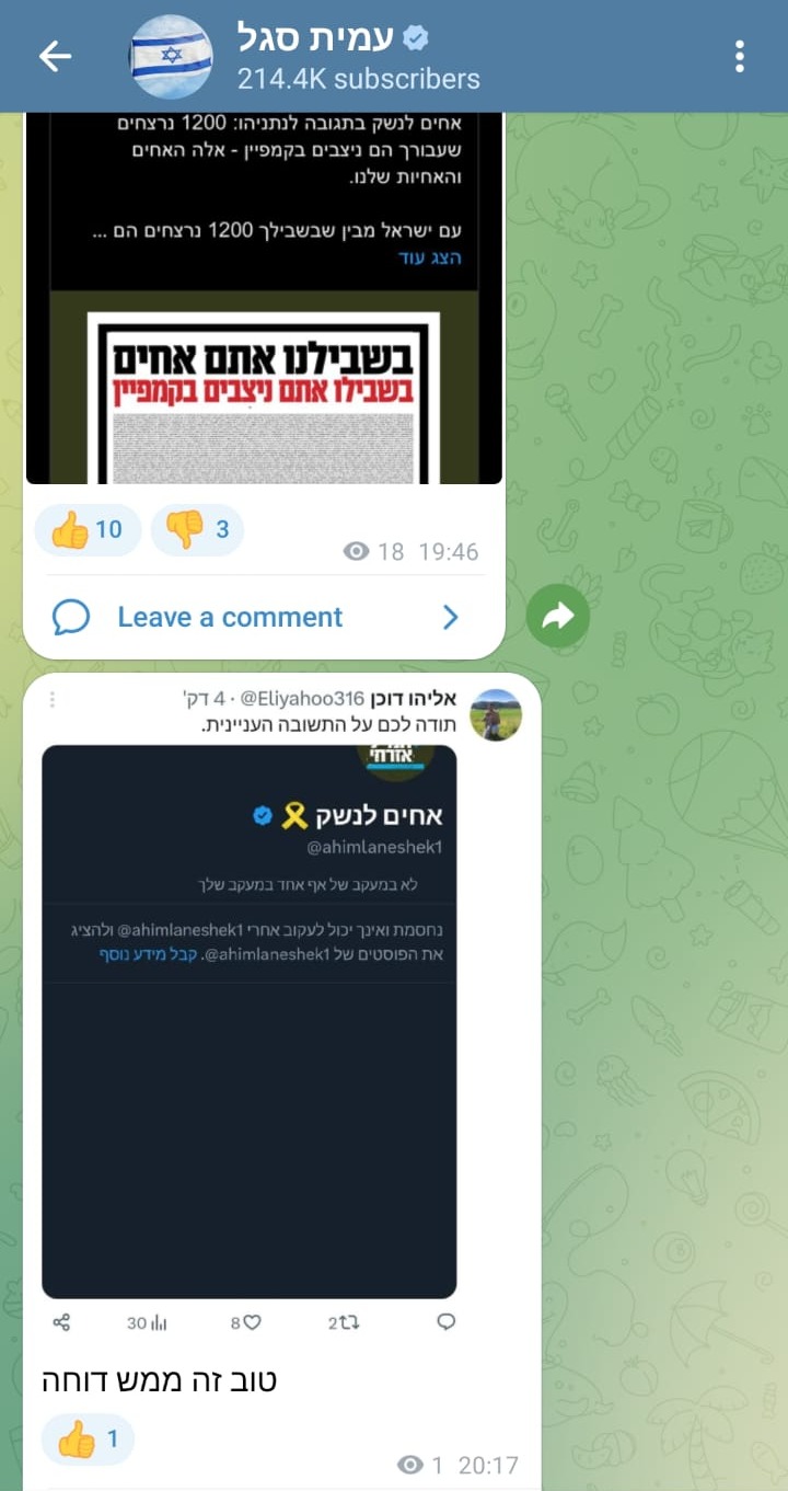 עמית סגל הפעיל לחץ