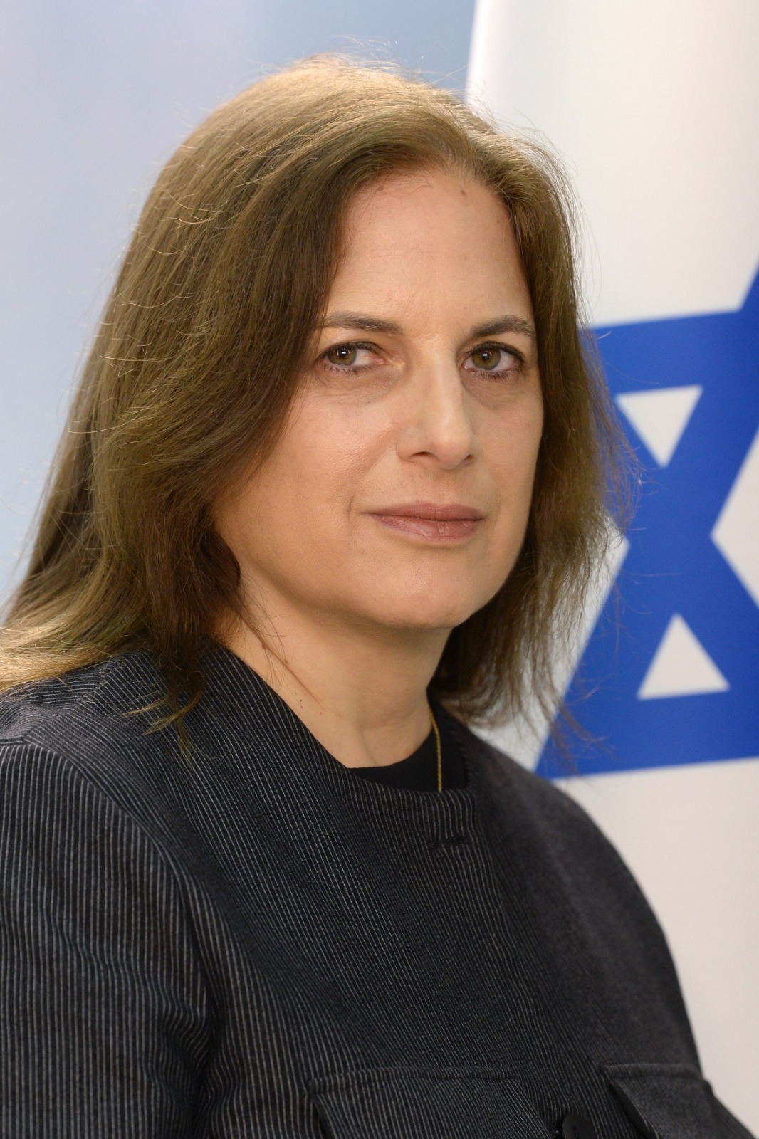 המשנה ליועמ"ש עמית מררי