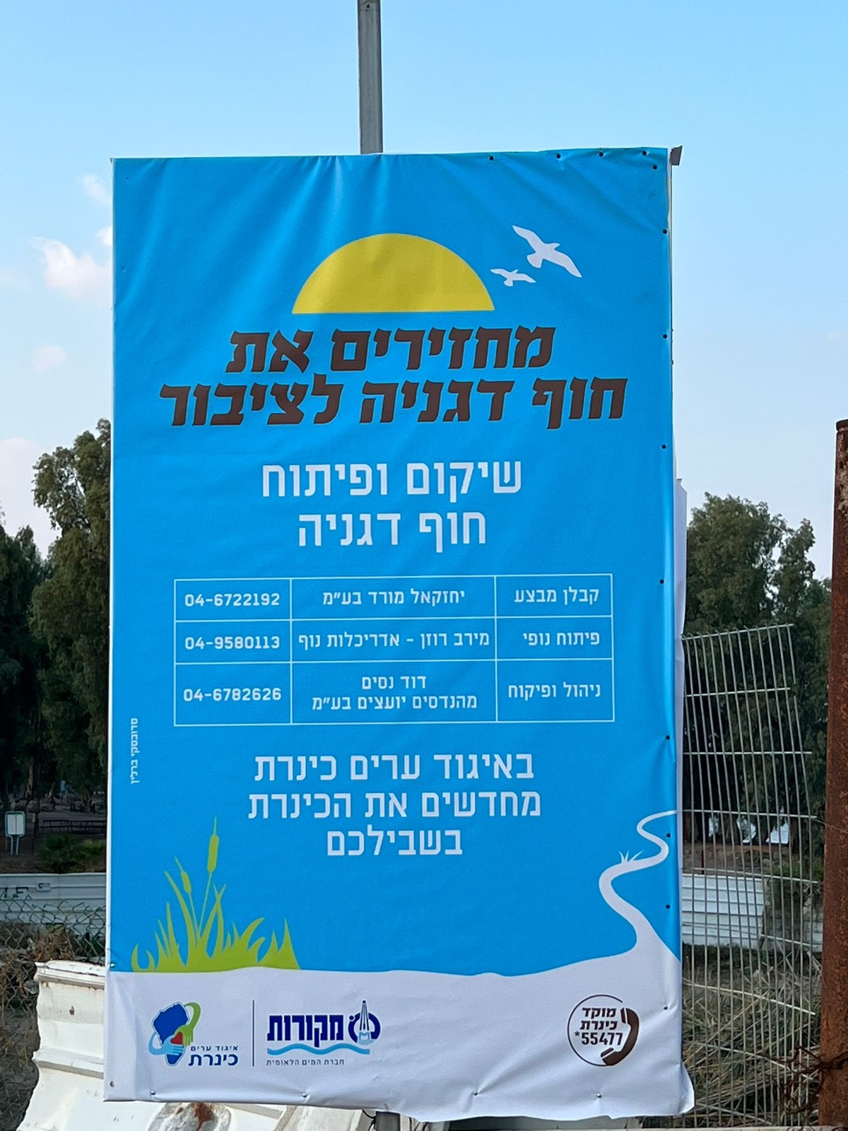 כינרת