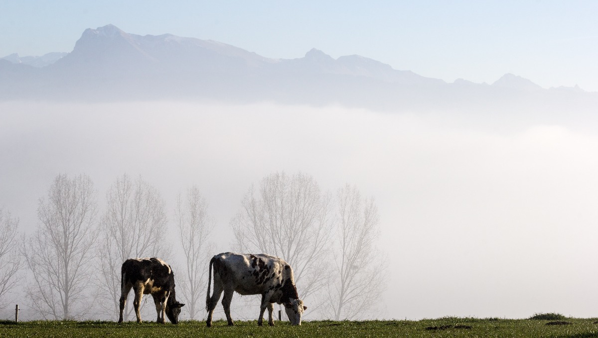 אובך, מזג האוויר משוגע