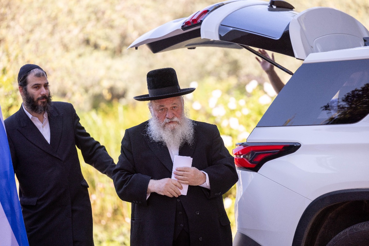 גולדקנופף