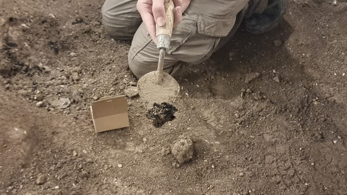 שבבי עץ מפוחמים. נשרפו במהלך השריפה העזה שהתחוללה בירושלים לפני 2,000 שנה