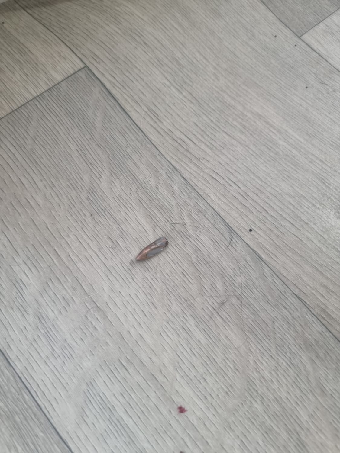 הקליע שחדר לבית אחת המשפחות