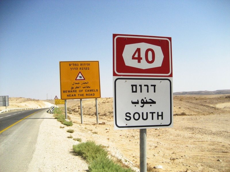צומת טללים, כביש 40