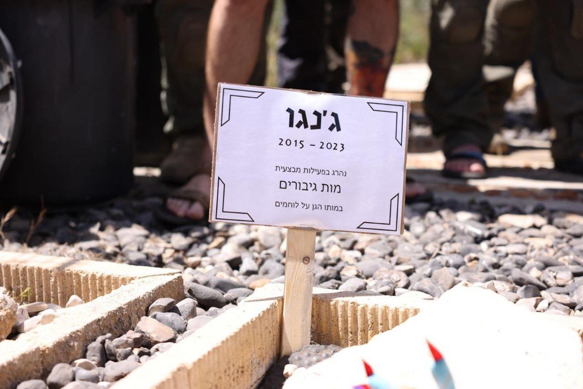 קברו של הכלב ג