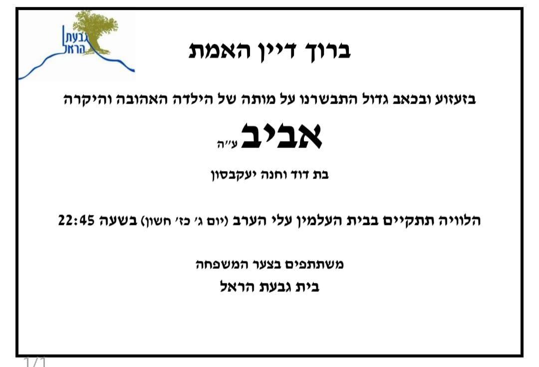אביב יעקבסון ז"ל