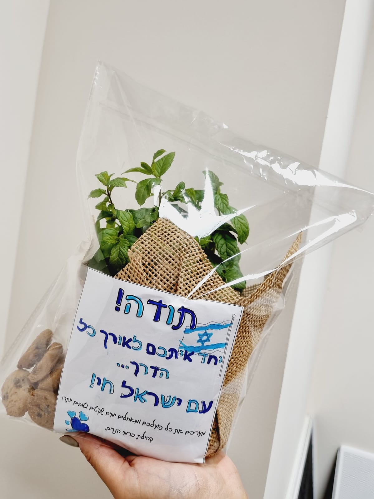 כרמי הנדיב