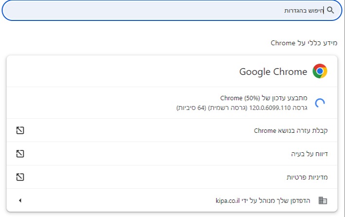 עדכון גרסה בגוגל כרום