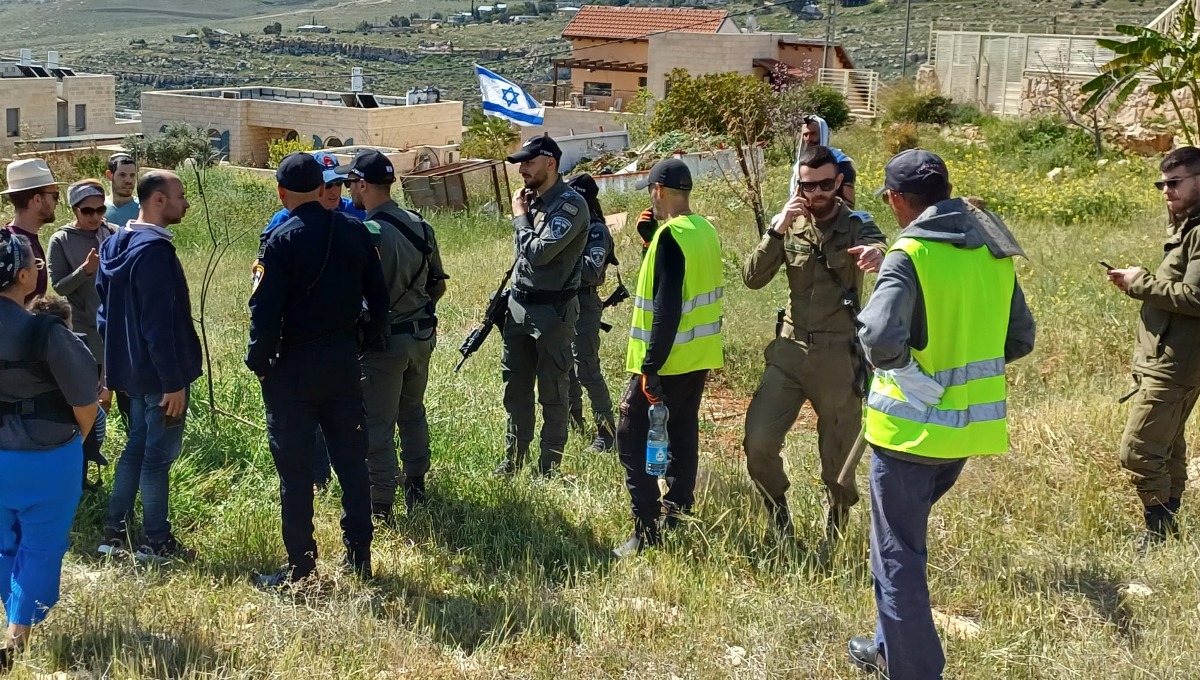 עקירת העצים, הבוקר