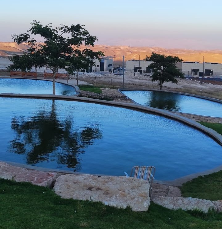עינות נוקדים