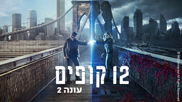 12 קופים