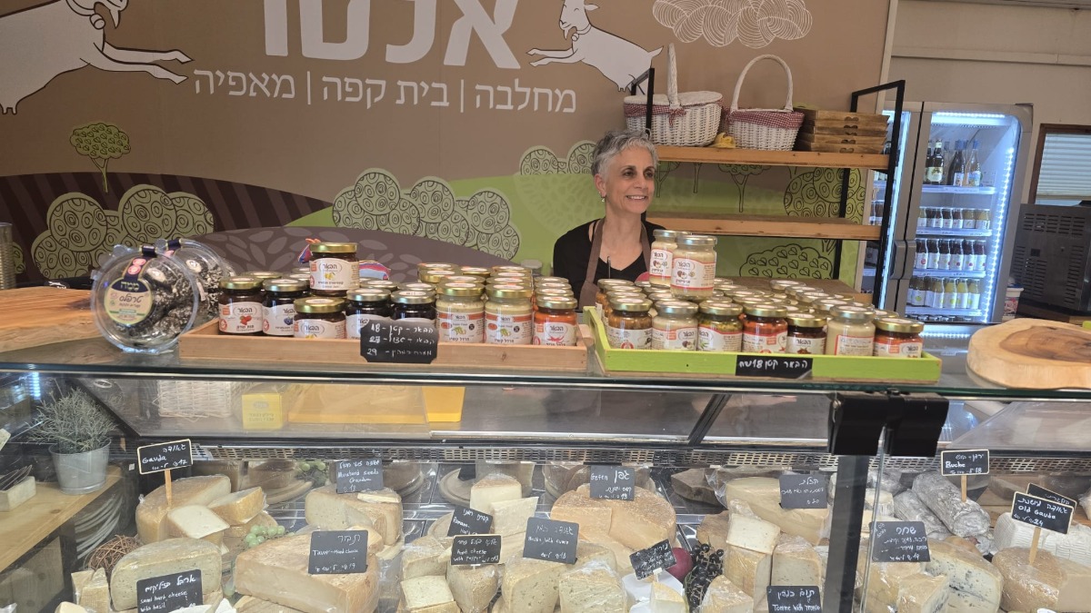 אלטו
