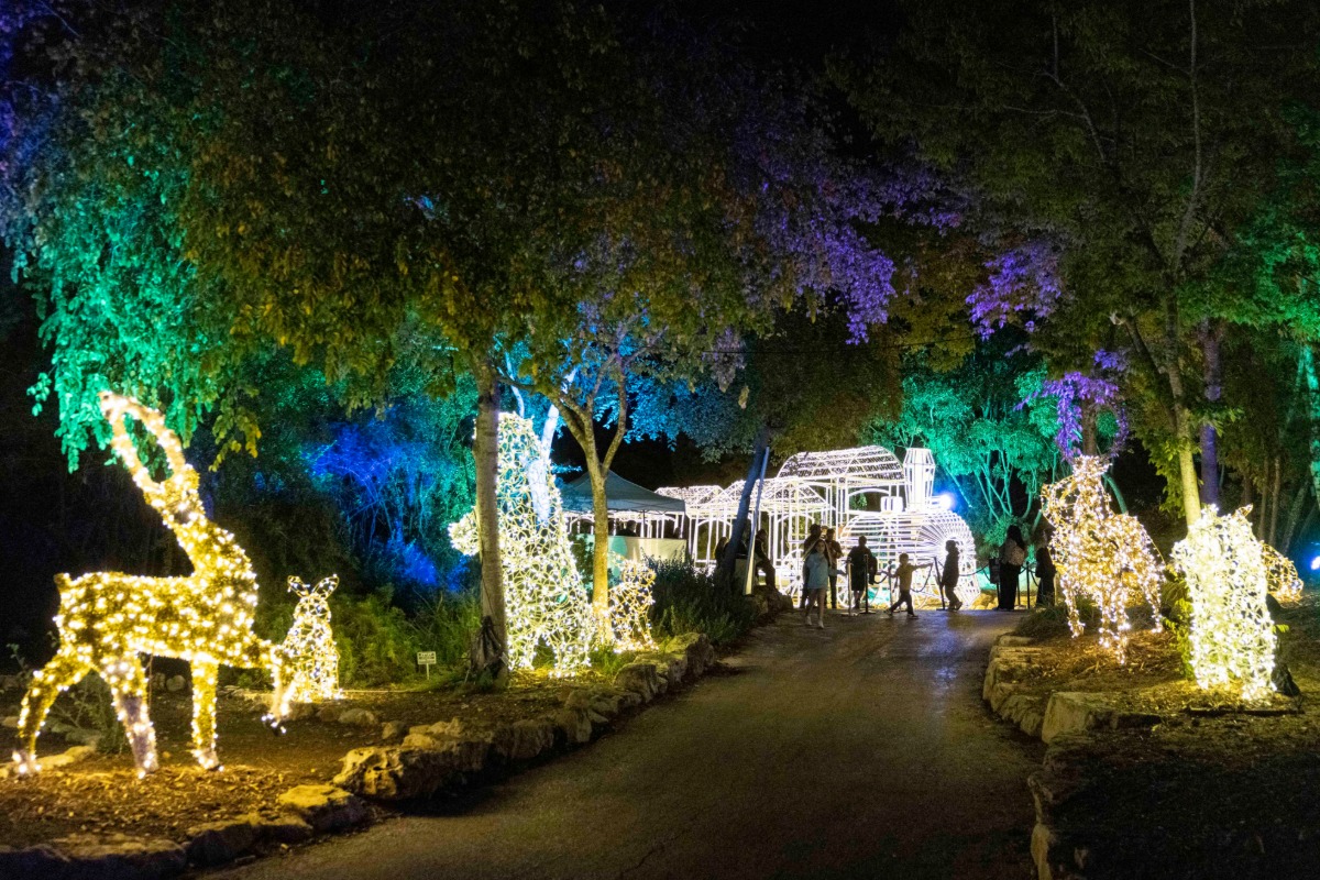 הגן הבוטני