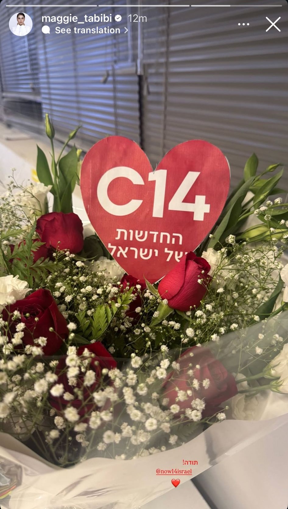 הסטורי של מגי טביבי