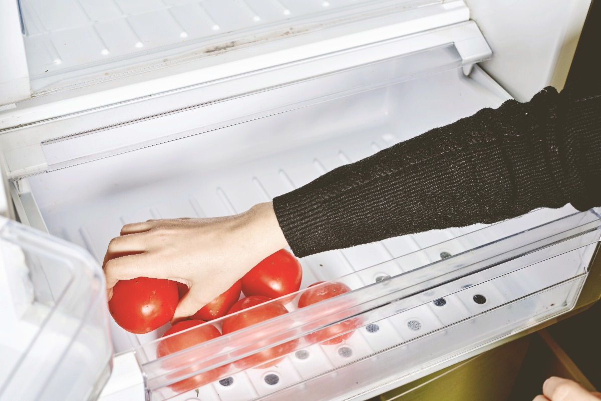 עגבנייה במקרר