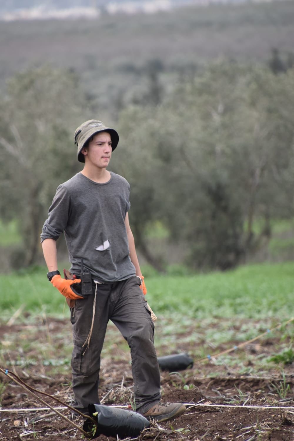 שריה אלבוים ז"ל