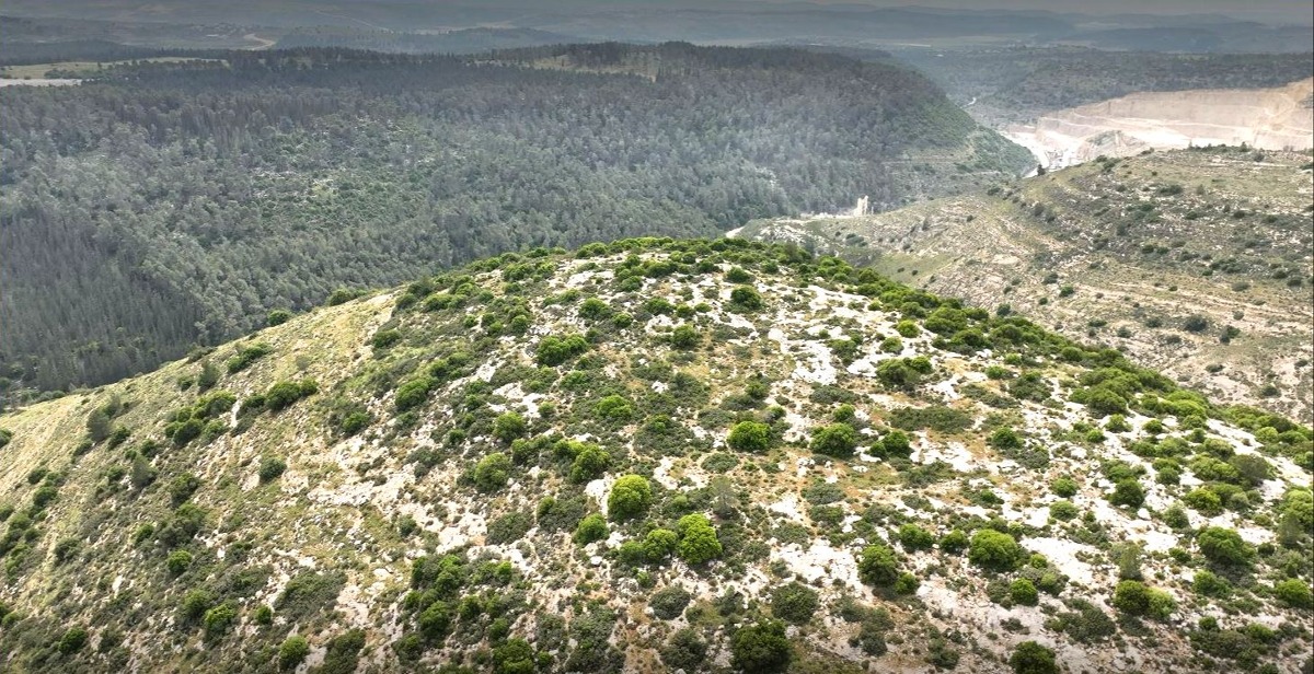גבעת הקרב בשפלת יהודה