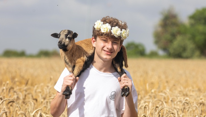חג השבועות