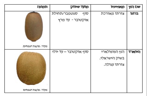 מדריך לצרכן עם הזנים הפופולאריים בשוק