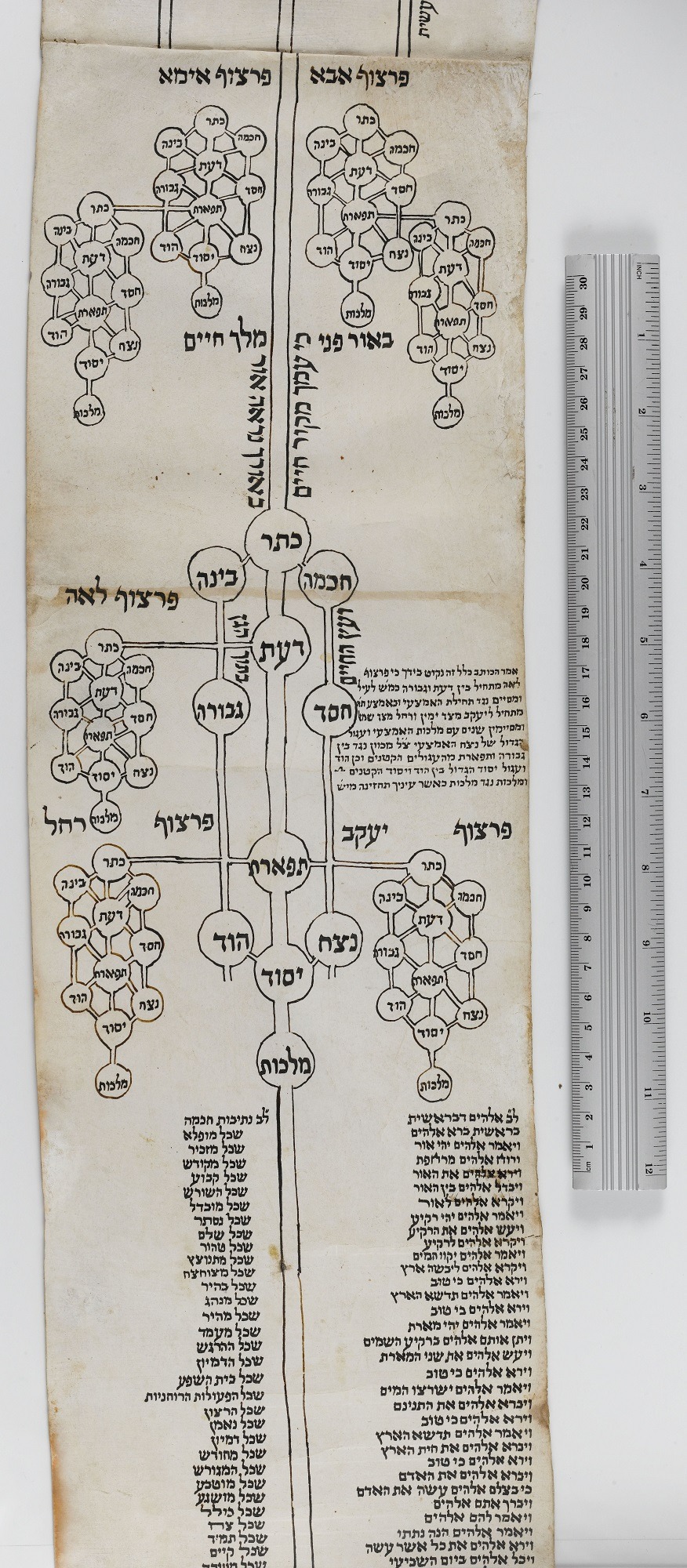 האילנות הקבליים