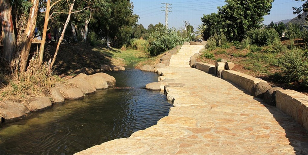 חורשת גדעון 