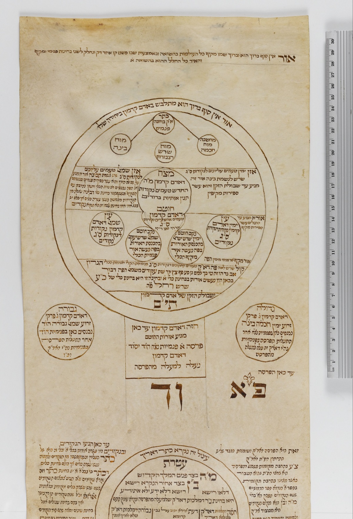 האילנות הקבליים