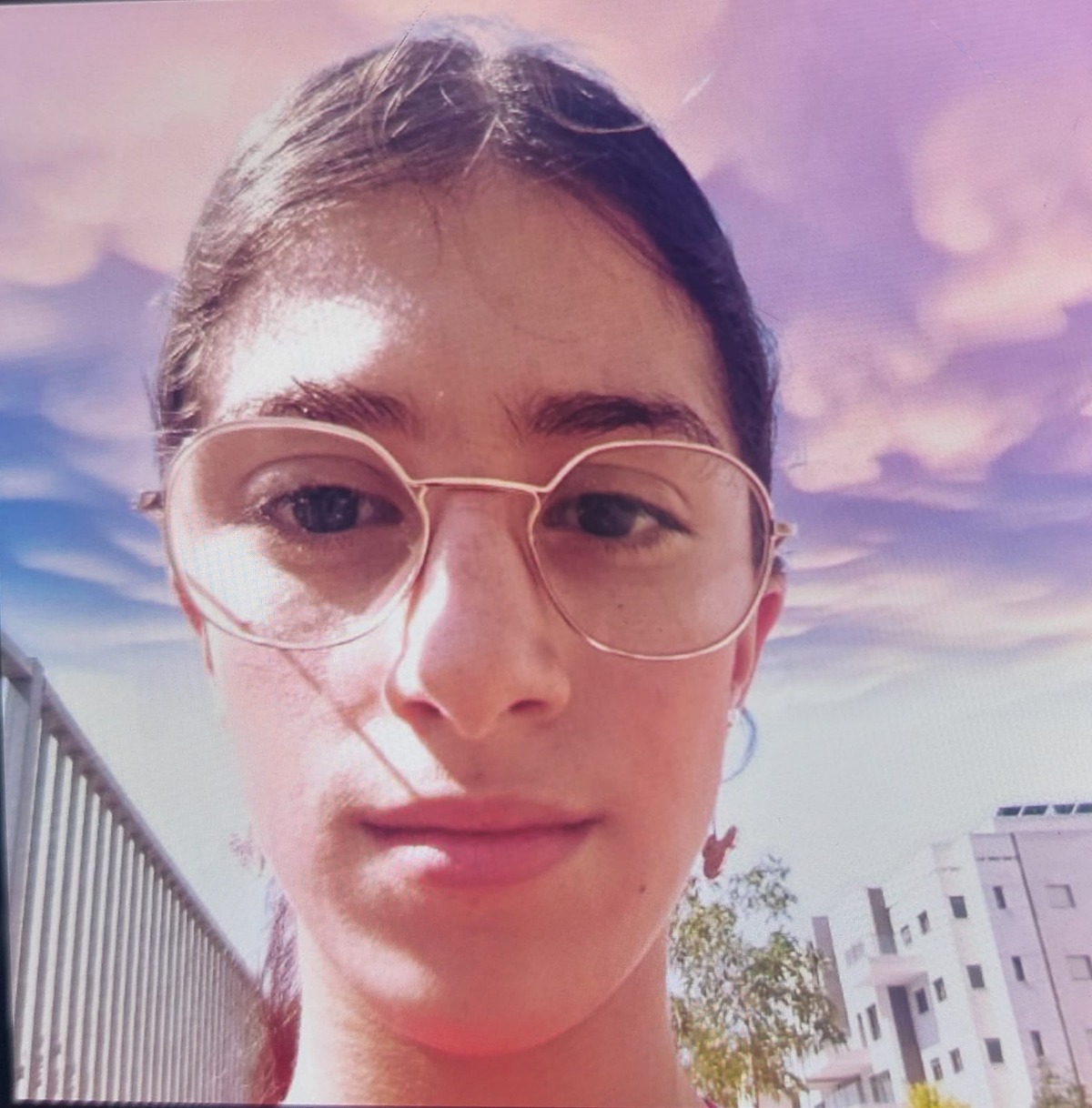 הנעדרת