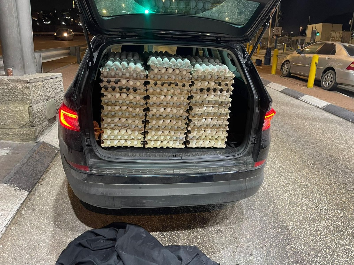 הביצים שנתפסו