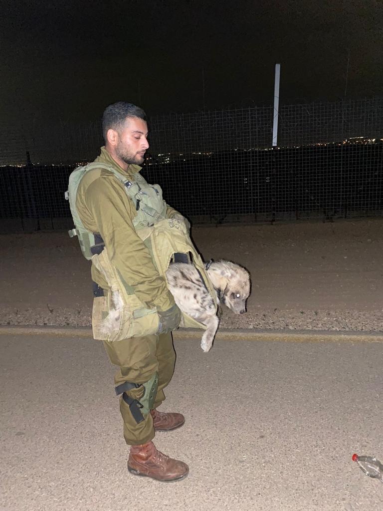 הלוחמים והצבועה