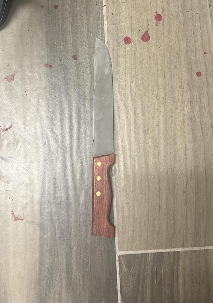 הסכין ששימש את המחבל