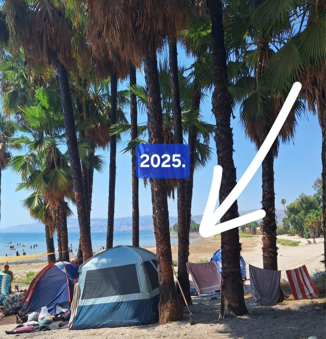 מפלס הכנרת השנה