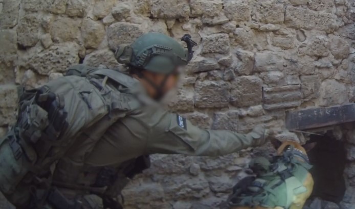 פעילות כלב עוקץ