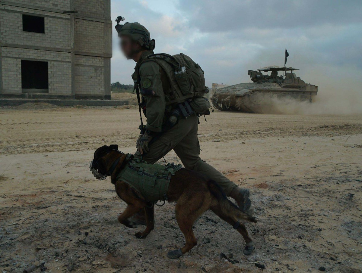 פעילות צה"ל בעזה