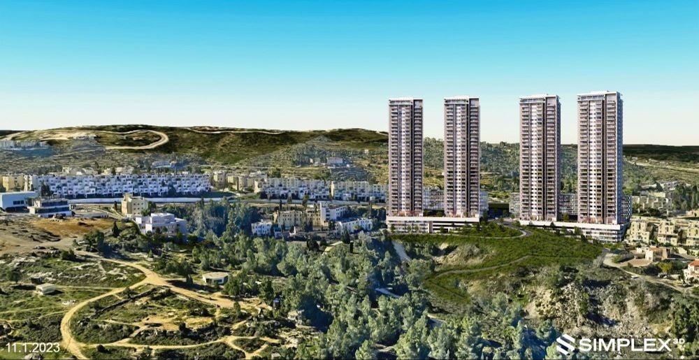 הדמיות תוכנית 