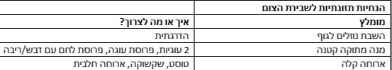 ההנחיות
