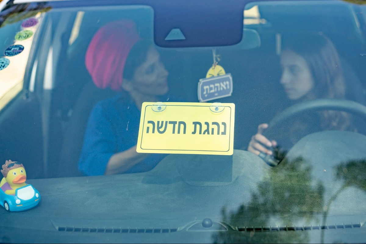 נהגת חדשה, אילוסטרציה |