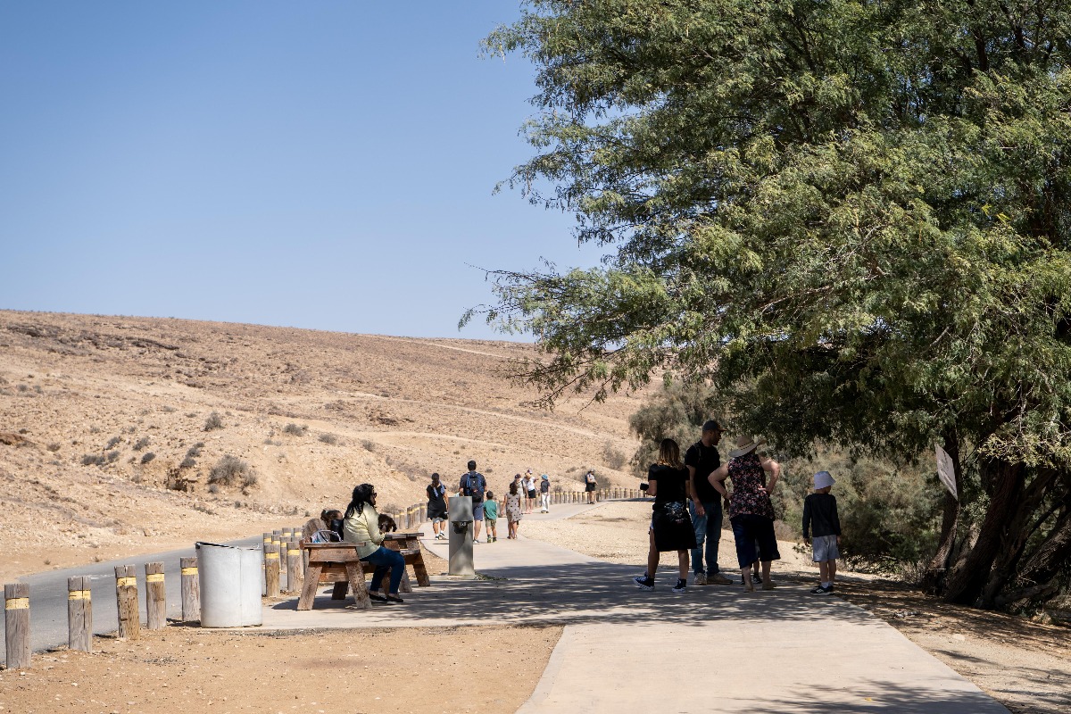 ארכיון | 