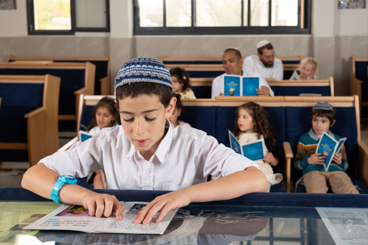 בואו להכיר את טל מנשה | 
