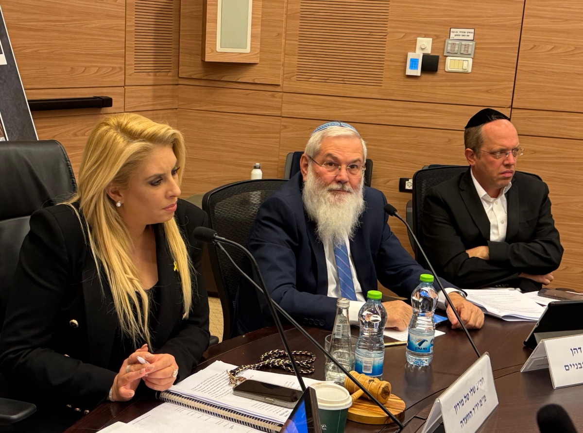 הדיון המיוחד בוועדה | 