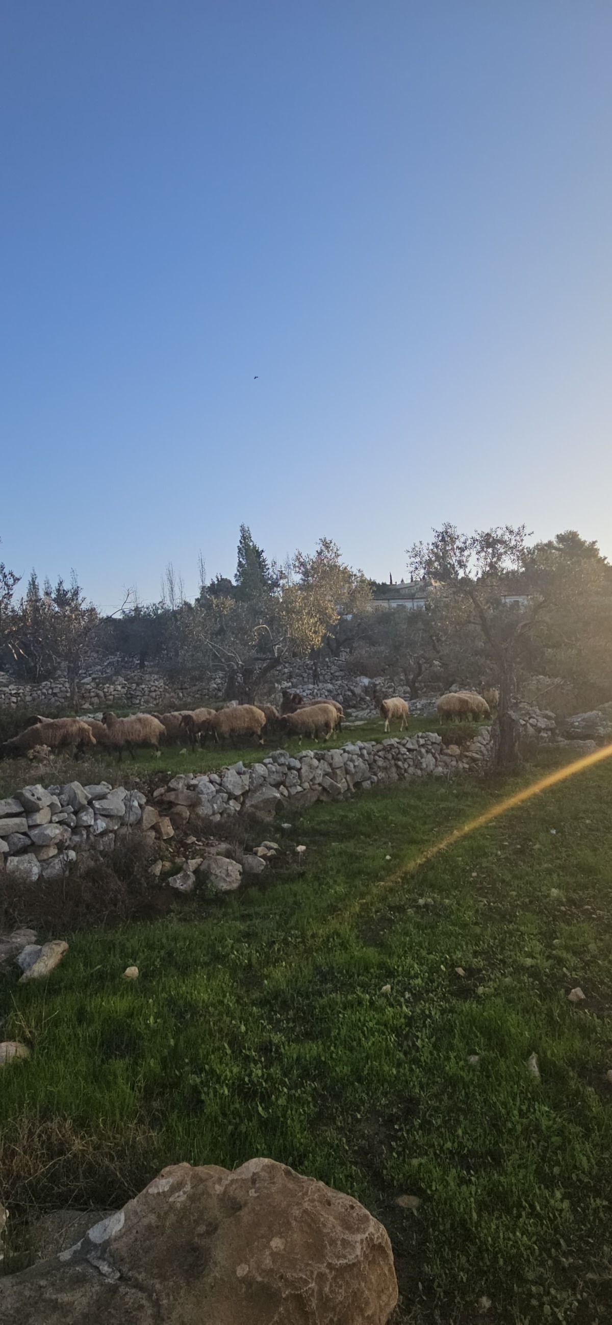 פעילות מיוחדת לחנוכה | 