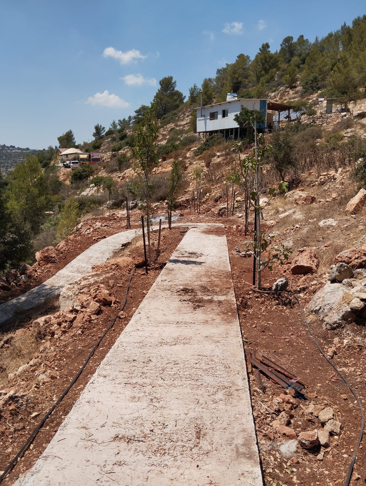 בוסתן בנימין