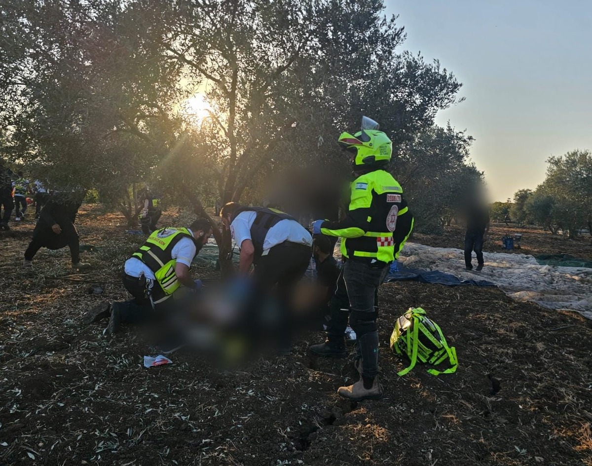 זירת האירוע | 