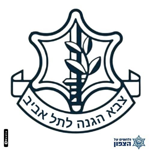 מחאה של מטה נלחמים על הצפון לאחר מתקפת המנע נגד חיזבאללה