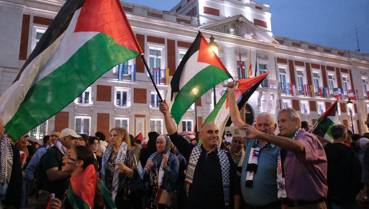 הפגנה פרו פלסטינית, ארכיון