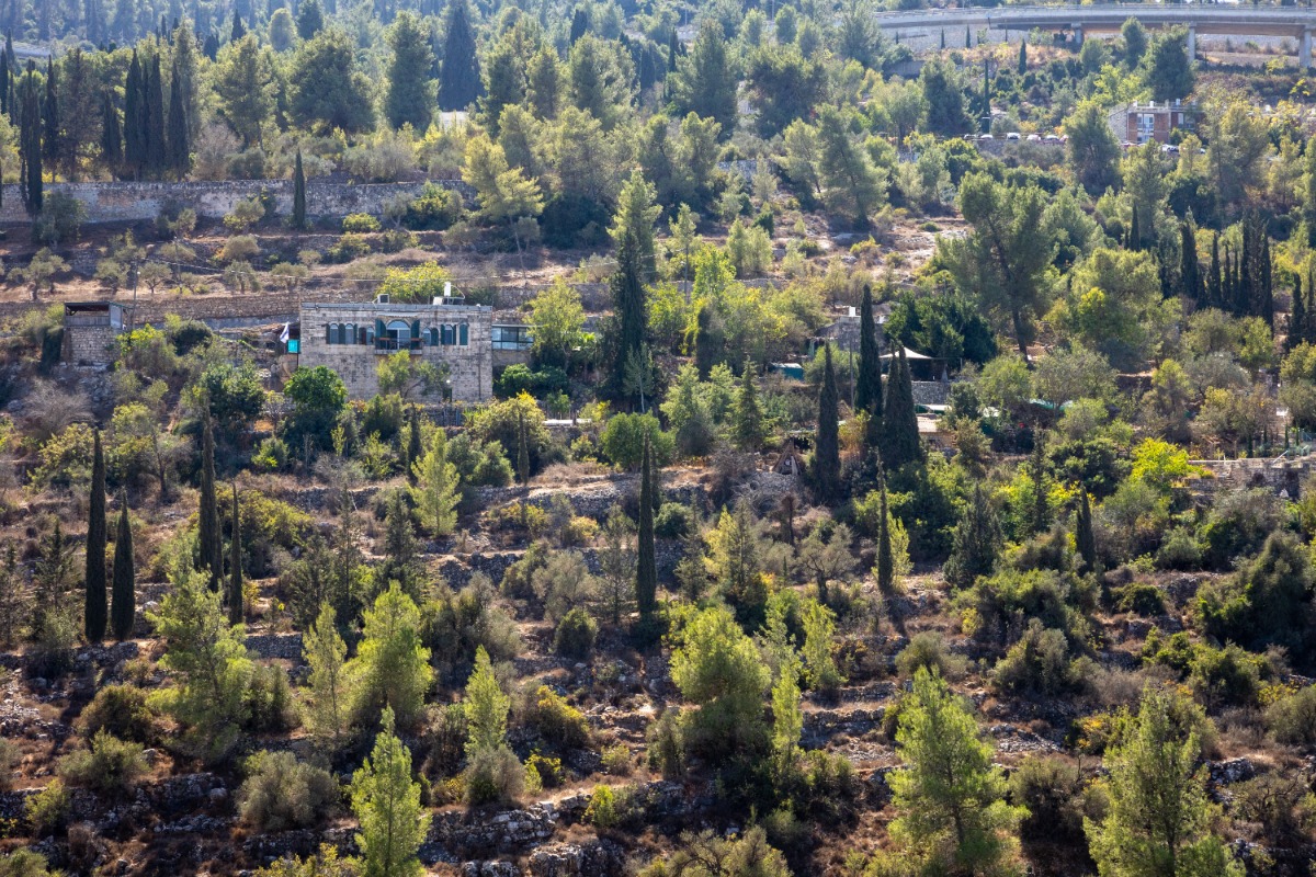 עין כרם